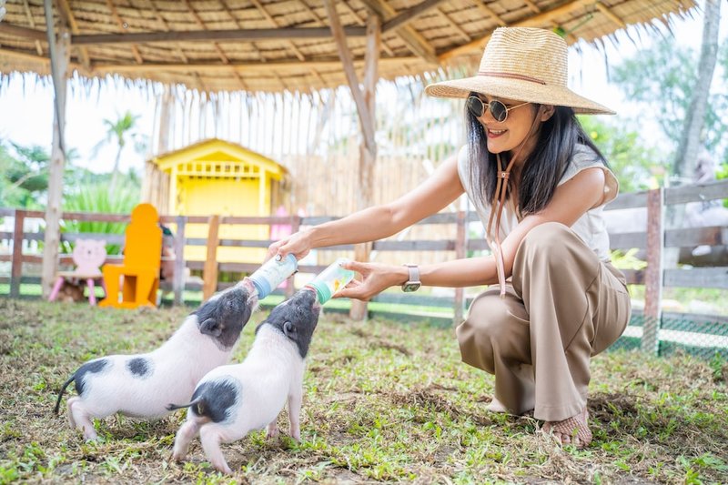 Children's activities