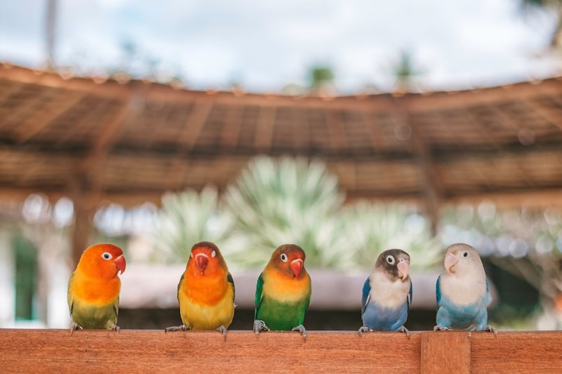 Children's activities