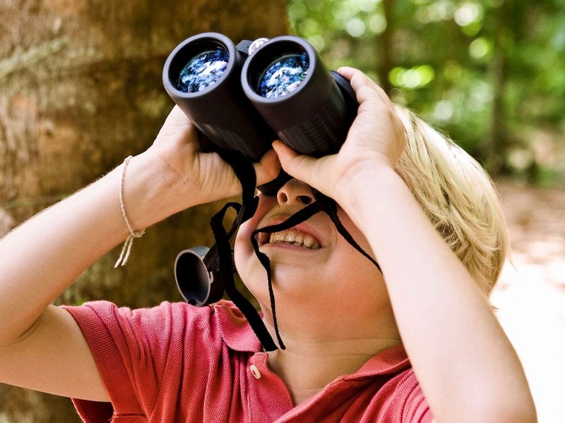 Children's activities