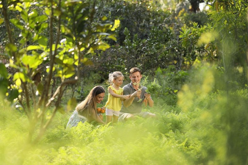 Children's activities