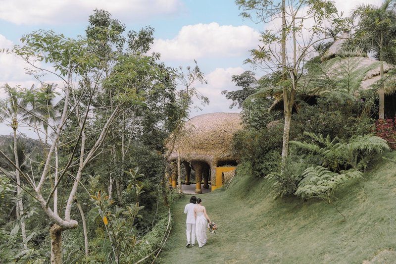 Outdoor wedding area