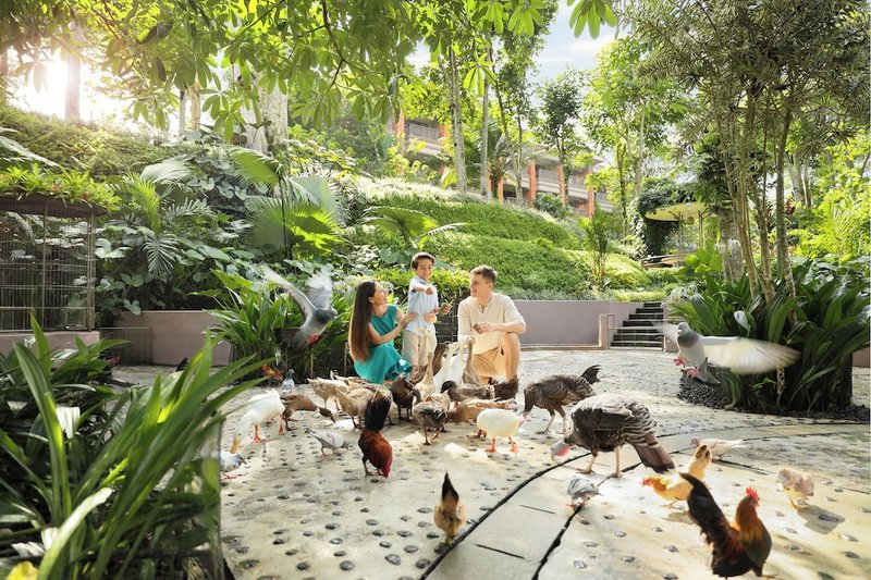 Children's activities