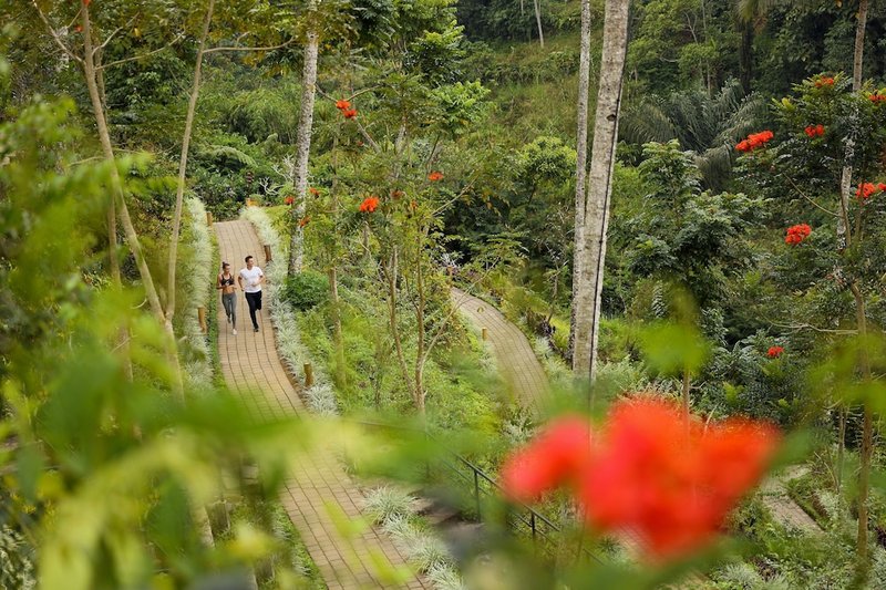 Children's activities