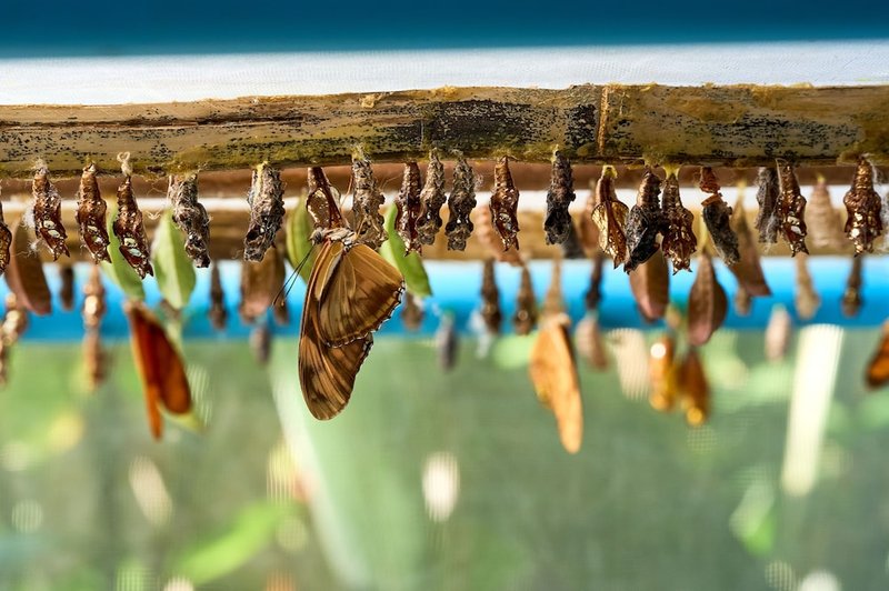 Children's activities