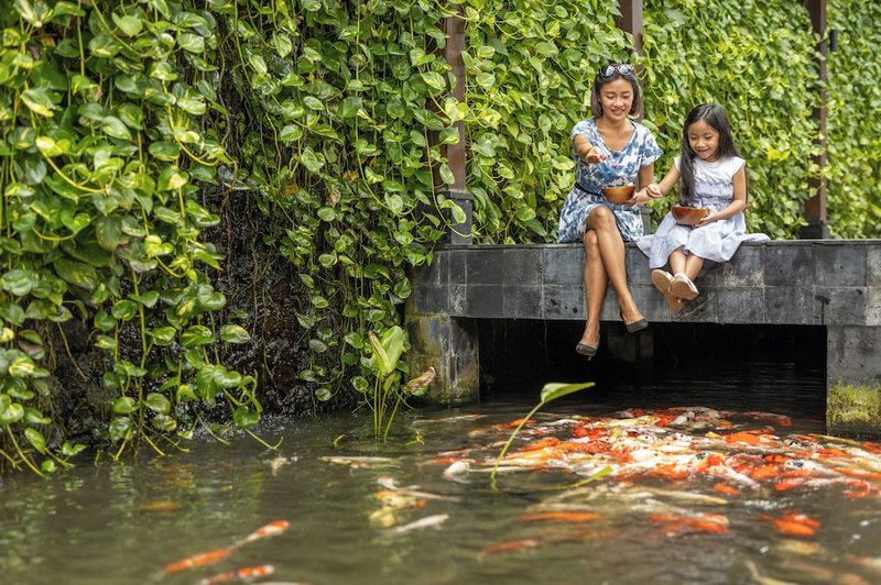 Children's play area - outdoor