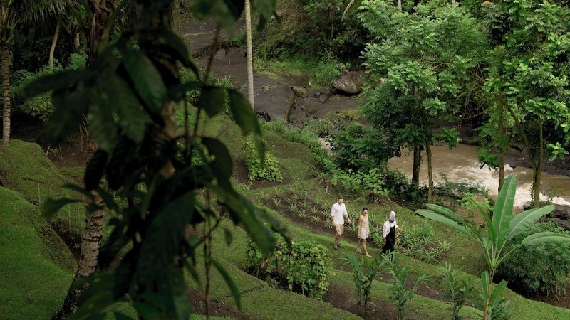 Land view from property