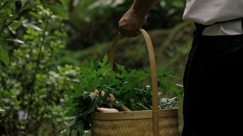 Land view from property