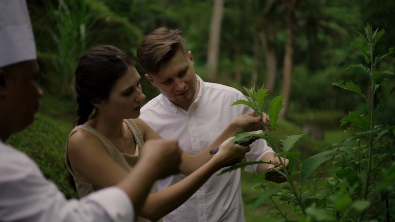 Land view from property