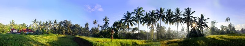 Land view from property