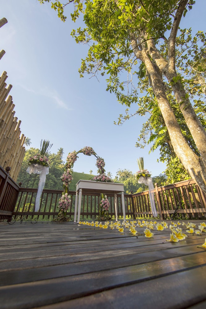 Outdoor wedding area