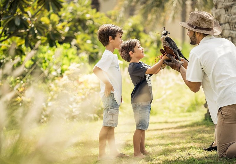 Children's activities