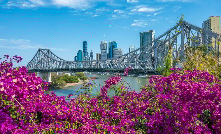 Cruising to and from Brisbane supporting image