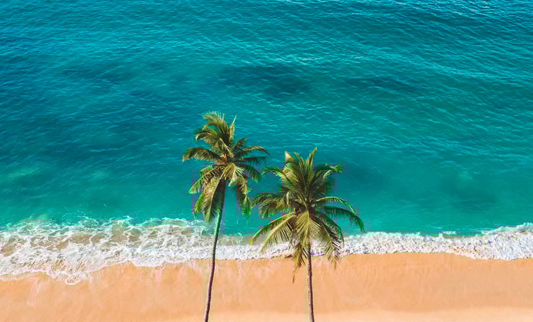 Cheap Cruises supporting image