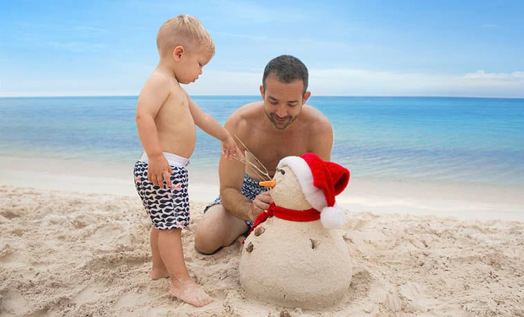 Christmas Cruises supporting image