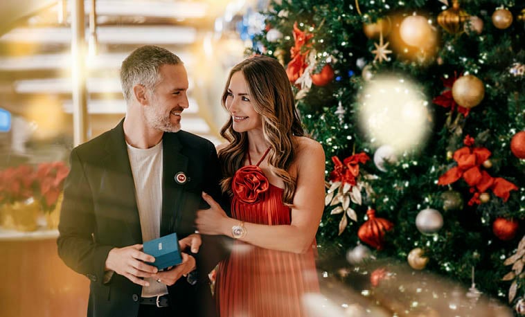 Christmas Cruises supporting image