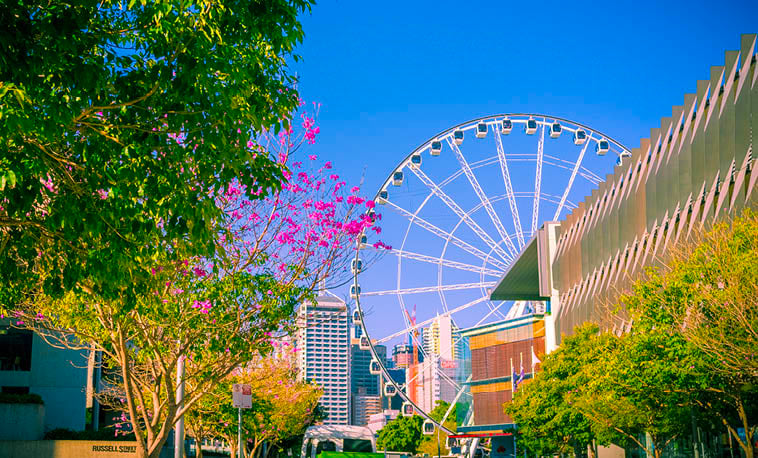 Cruising to and from Brisbane supporting image