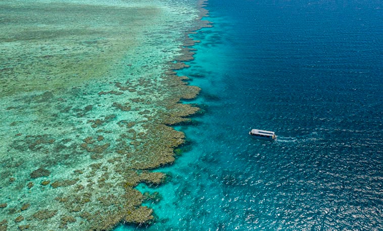 Expedition Cruises
