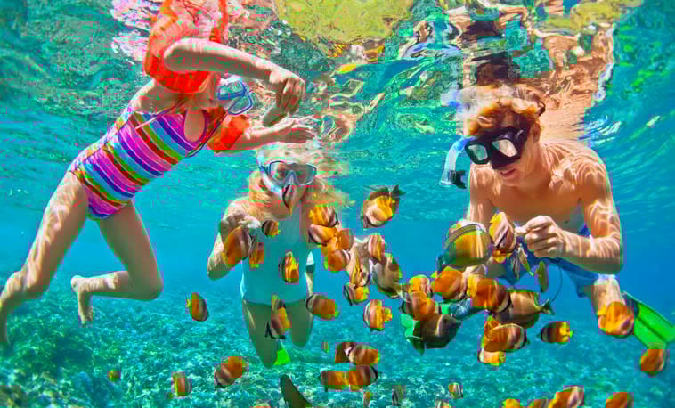 Family-Friendly Cruises supporting image