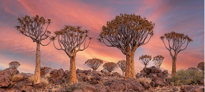 Namibia